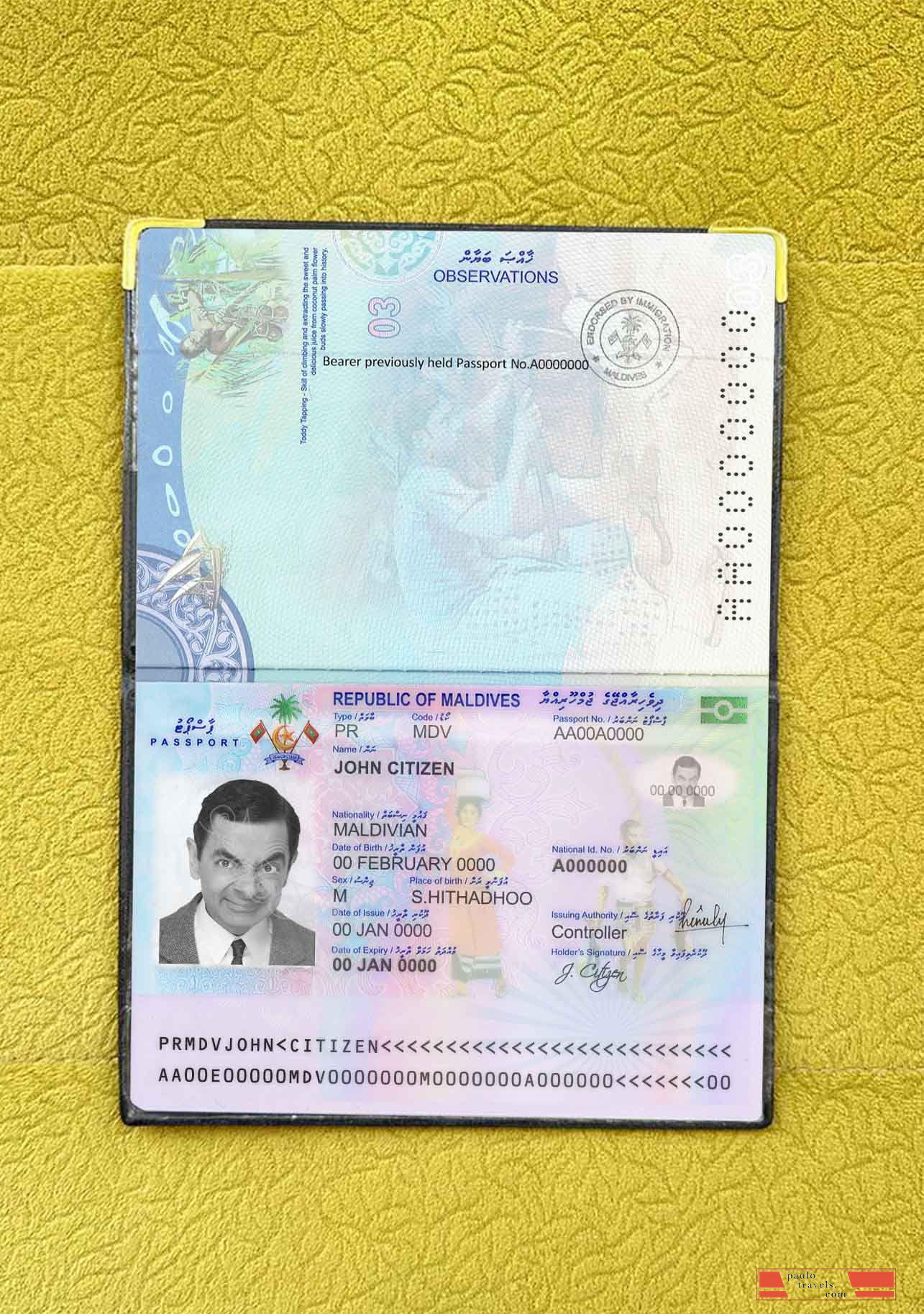 Maldives passport photo look PSD template